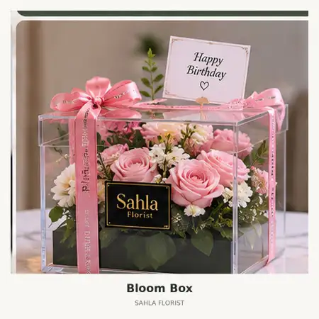 Bloom Box Halmahera Selatan